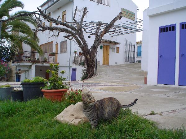 La Carrihuela