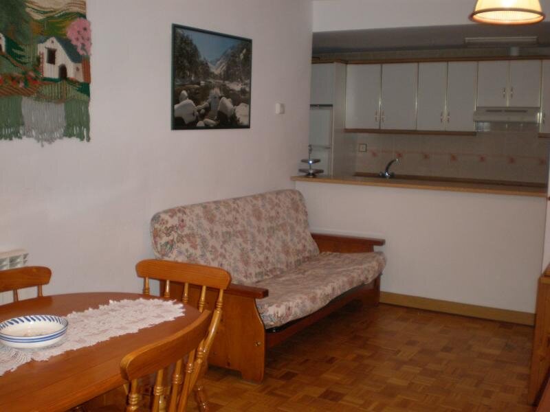 Apartamento Maladeta