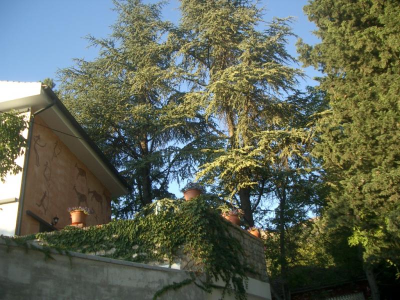 Miranevada