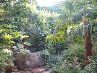 Hotel Rural Restaurante Corvina
