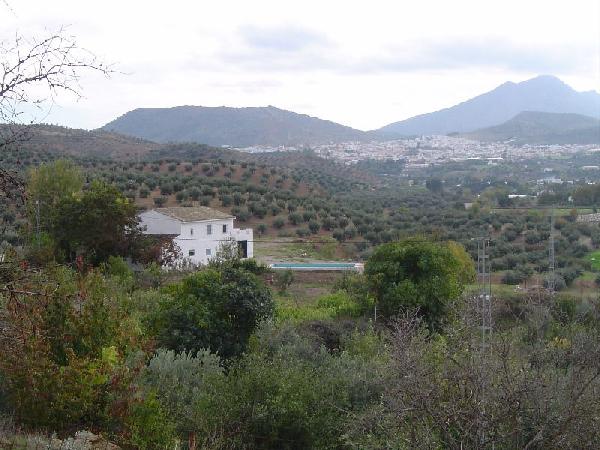 Casa Huerta Miguel