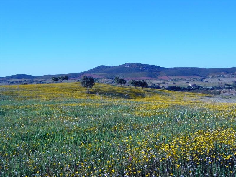 Valles De Abril
