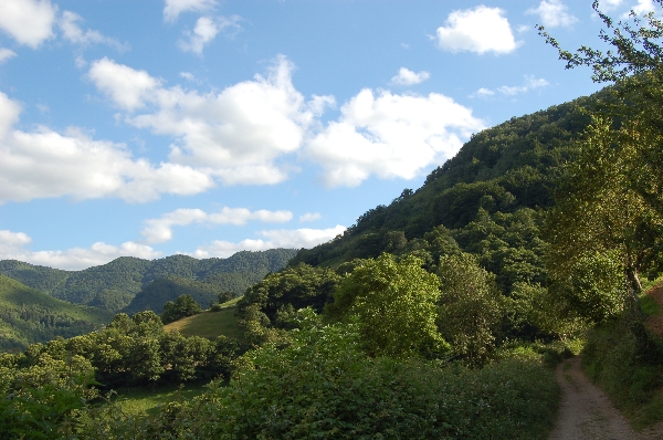 El Mirador De Fuentes Del Narcea