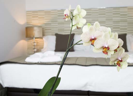 Hotel Spa Niwa