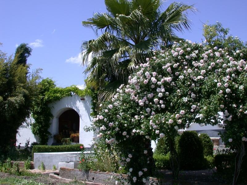 Monte Saraz