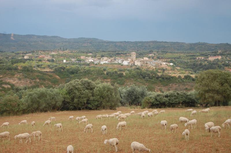 Casa Maza