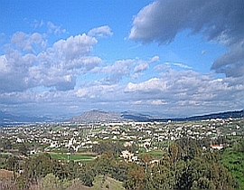 Los Naranjos