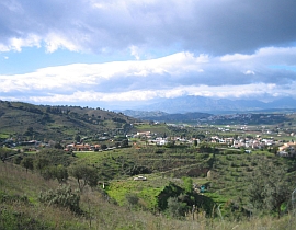 Los Naranjos