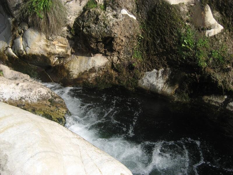 Los Naranjos