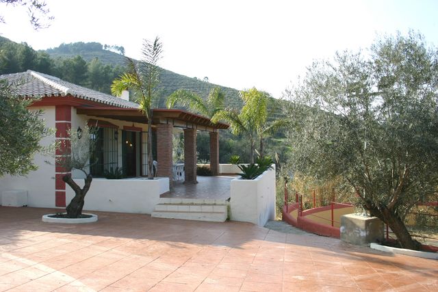 Los Olivos