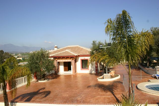 Los Olivos