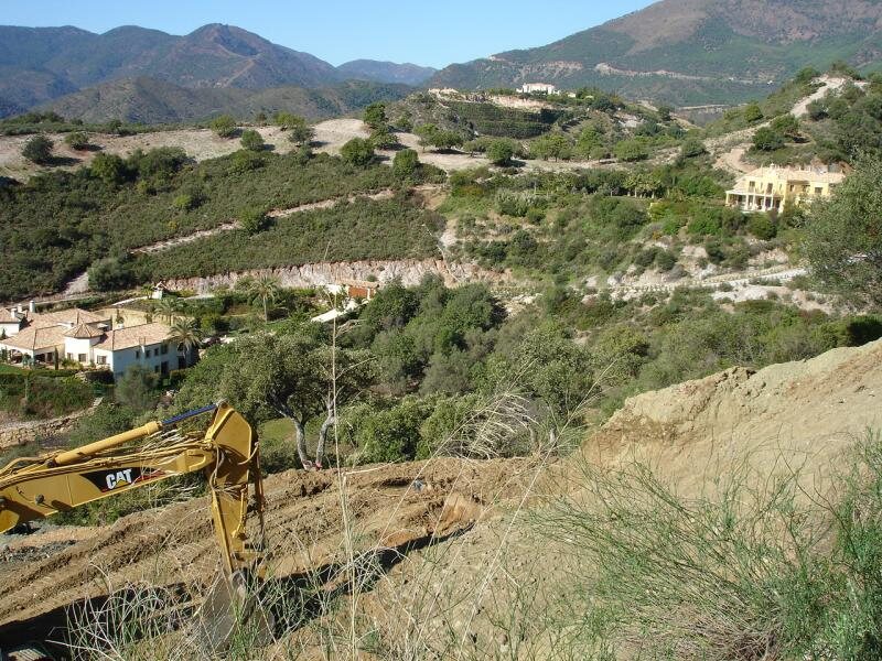 Los Olivos