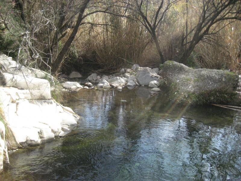 Los Olivos