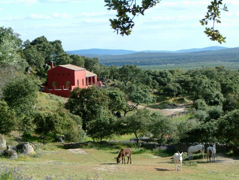 Finca Al-manzil