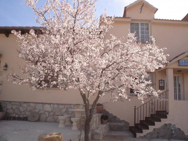 Casa Sanahuja