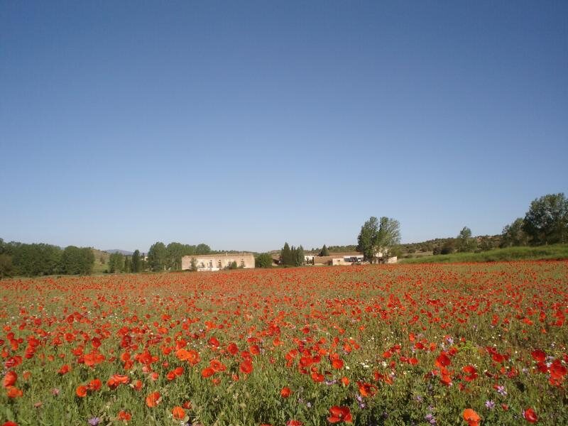 Casa Sanahuja