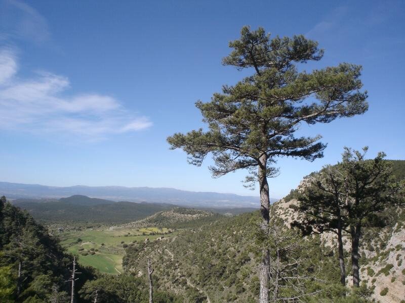 Casa Sanahuja