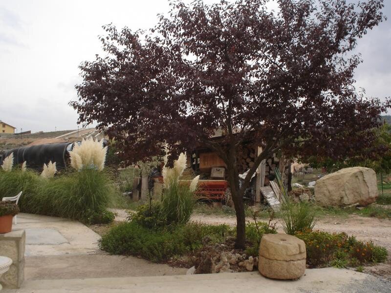 Casa Sanahuja