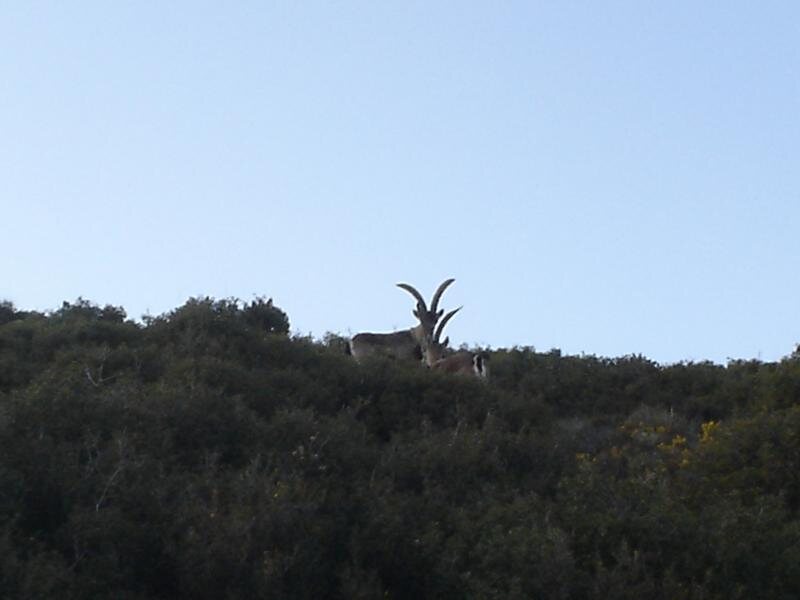 Casa Sanahuja