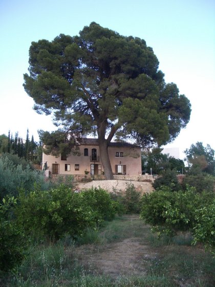 El Cortijo Del Pino