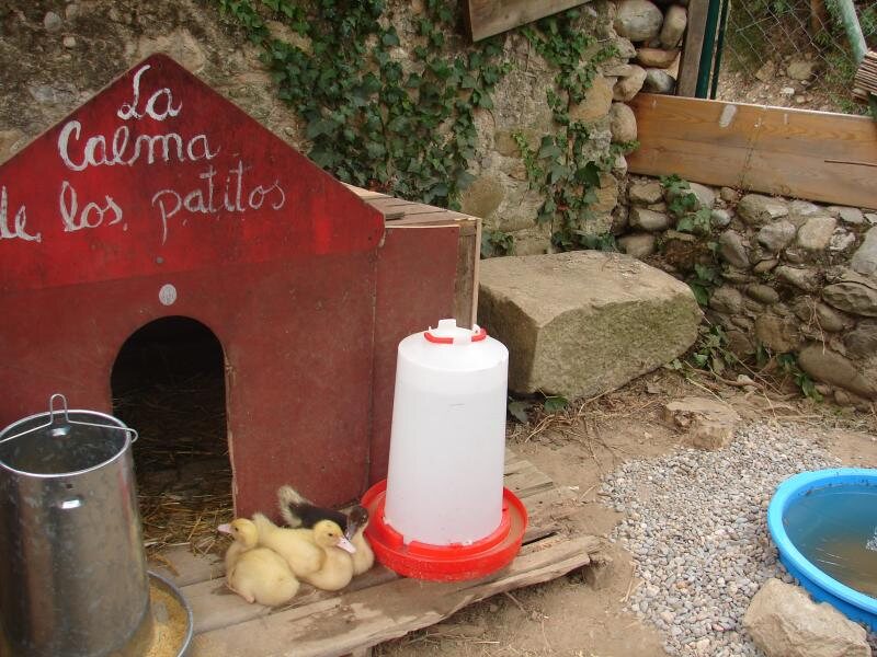 La Calma De Rita