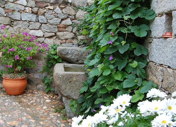 Casa Rural El Vasar