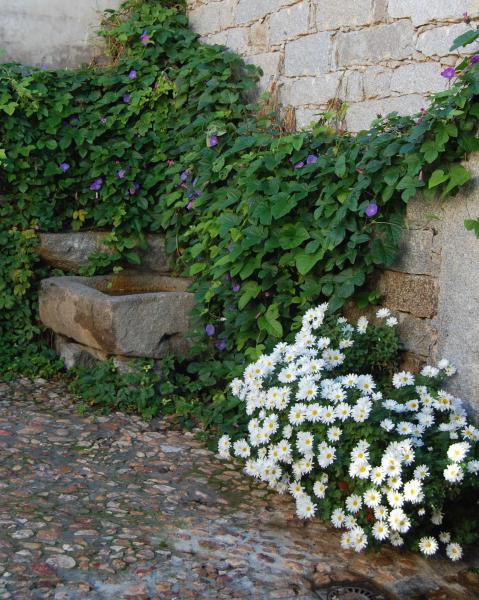 Casa Rural El Vasar