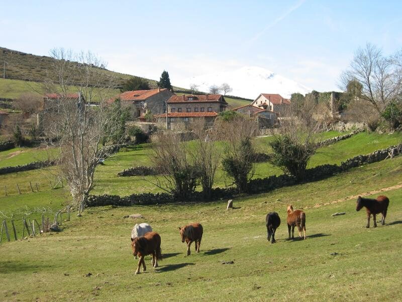 APARTAMENTOS COLSA