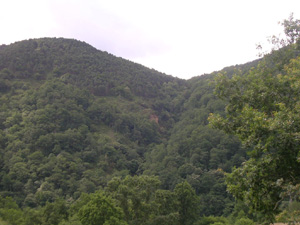El Molinillo