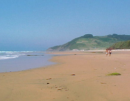 La Xana