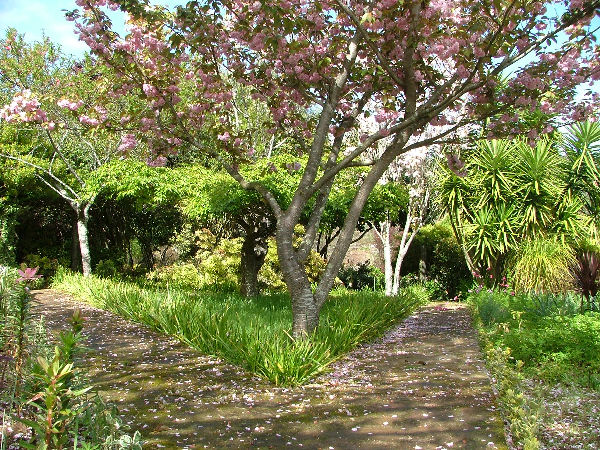 Quinta Do Bento Novo