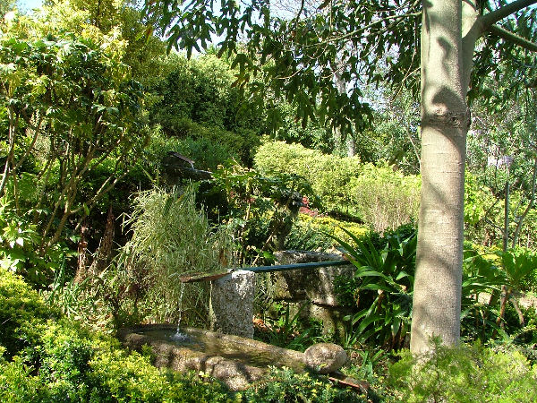 Quinta Do Bento Novo