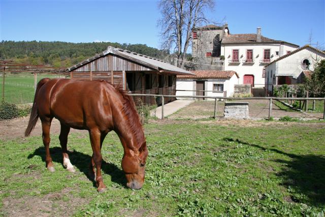 Quinta De Pindela