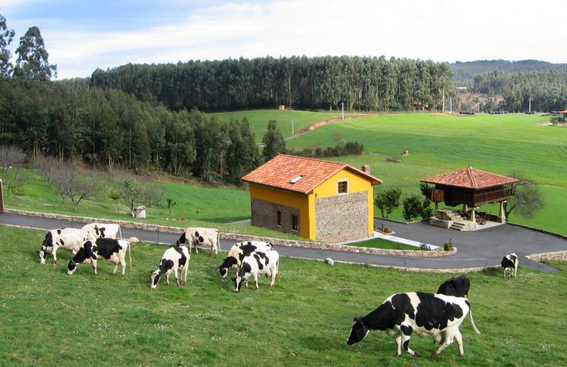 Casa Jesusa