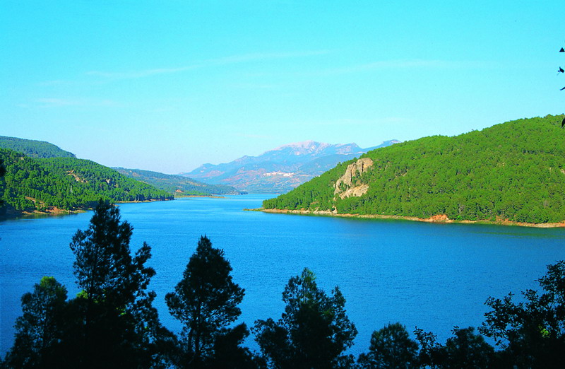 Mirador De La Luna I - Iv
