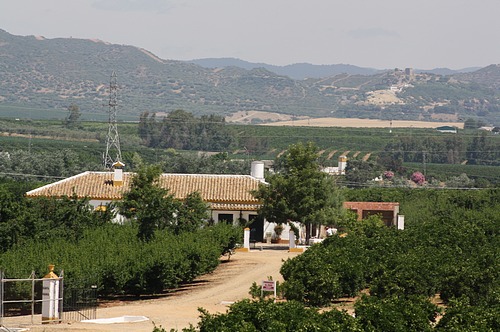 Finca Santa Isabel
