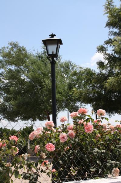 Finca Santa Isabel