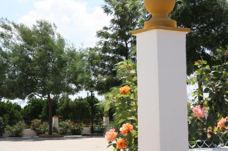 Finca Santa Isabel