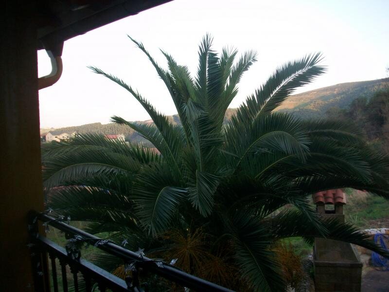 Posada La Canal