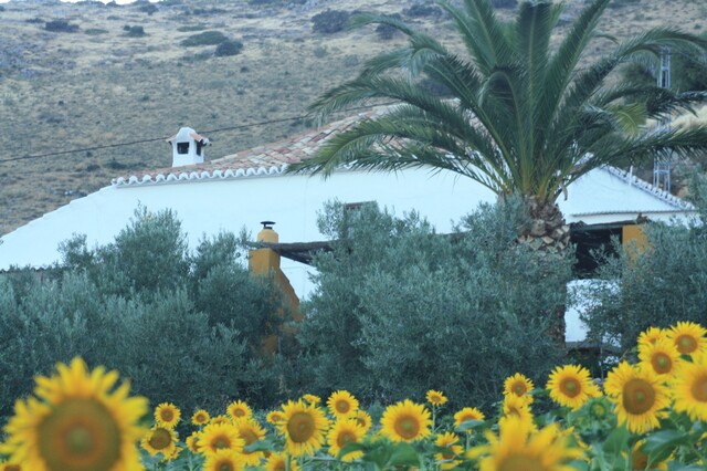 Casa Rural Huerta La Lapa