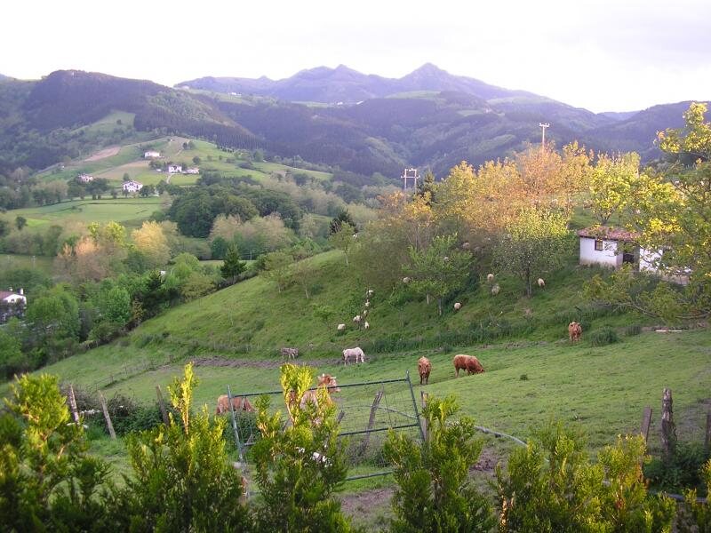 Zelaikoa