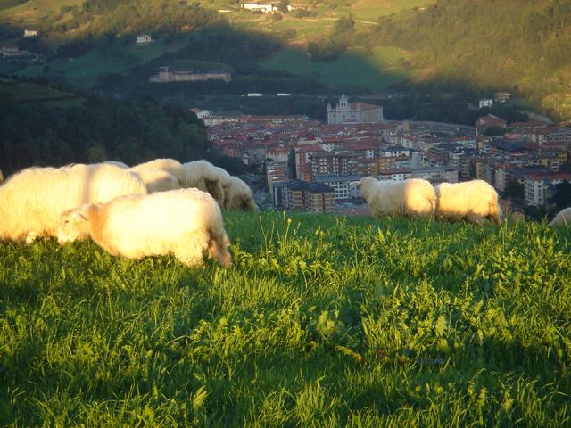 Korteta