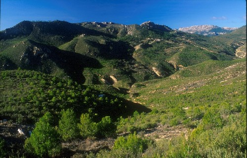 Casa Rural Cleto