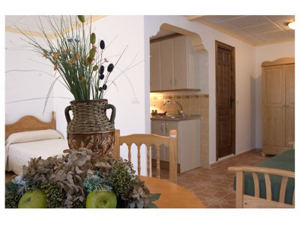 APARTAMENTOS JUVENT