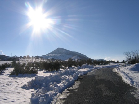 Cortijo La Estrella