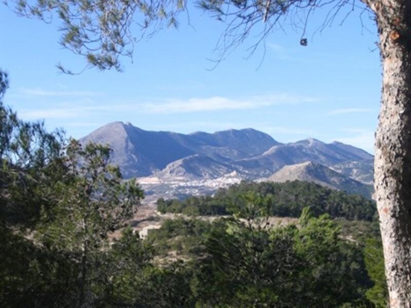 Cortijo La Estrella