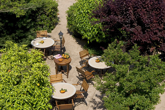 Finca Ca's Curial
