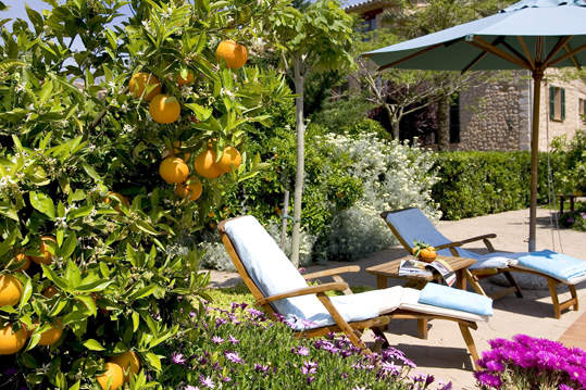 Finca Ca's Curial