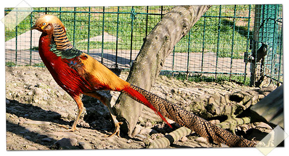 Granja Escuela Arlanzon