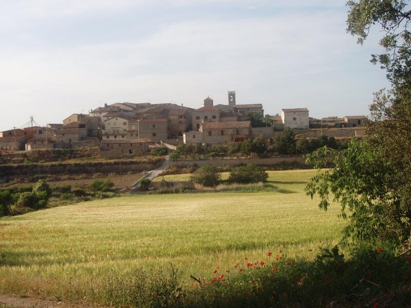 Cal Barbas